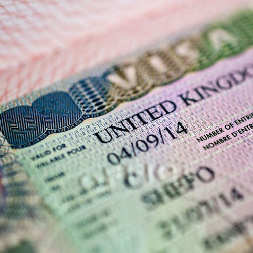Visa Consultancy Firm